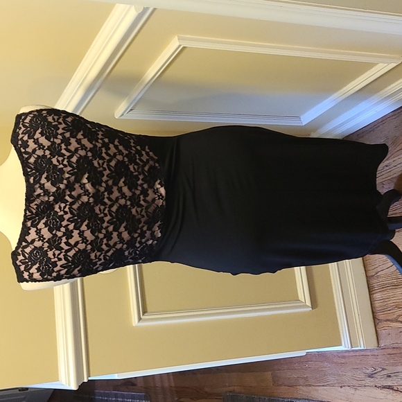 Nwot Beautiful sleeveless fitted dress with illusion style top - Picture 3 of 5